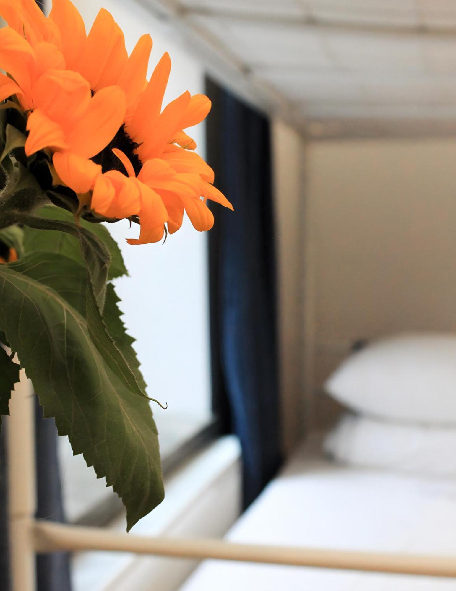 Warsaw Hostel Centrum Private Rooms & Dorms Luaran gambar
